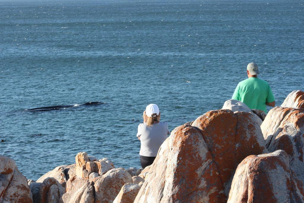 Апартаменты Whaletale Де-Келдерс Экстерьер фото